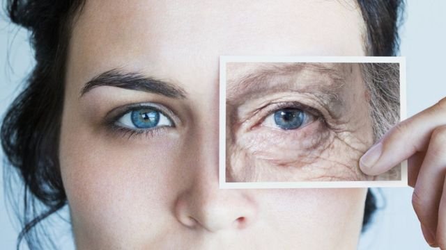 Revertir envejecimiento en células humanas