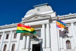 Fallo elecciones judiciales del Tribunal Constitucional Plurinacional