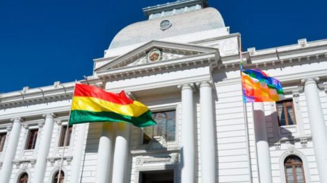 Fallo elecciones judiciales del Tribunal Constitucional Plurinacional