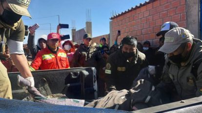 Asesinato en El Alto: Sentencian a Dennis Plata Tancara por el parricidio de su madre y sobrina