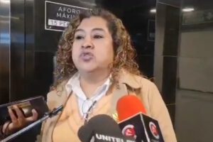 Sesión del Senado sobre norma de preselección y habilitación