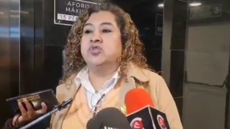 Sesión del Senado sobre norma de preselección y habilitación