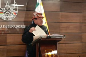 Elecciones Judiciales: Jefe de Bancada del MAS solicita reunión urgente