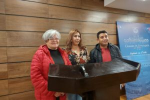 Proyecto de ley 114 sobre elecciones judiciales en debate