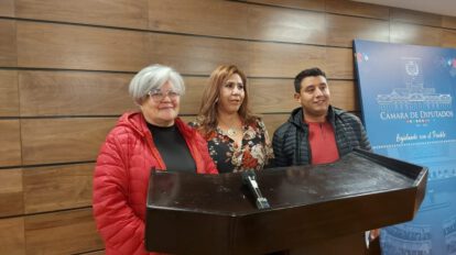 Proyecto de ley 114 sobre elecciones judiciales en debate