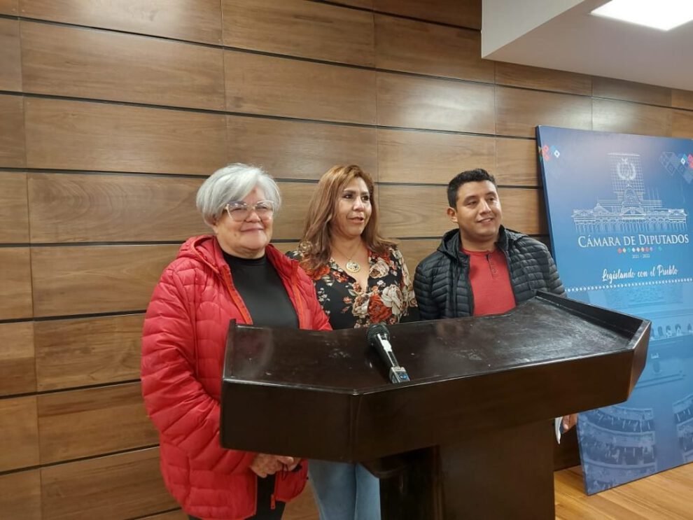 Proyecto de ley 114 sobre elecciones judiciales en debate