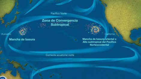 Gran Mancha de Basura del Pacífico como ecosistema sorprendente