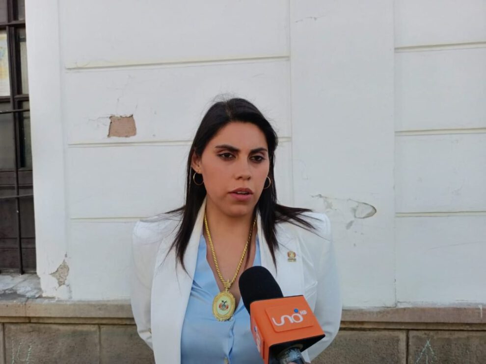 Mensaje hipócrita de Arce sobre narcotráfico y economía