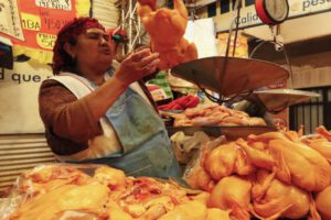 Abastecimiento de carne de pollo en el país