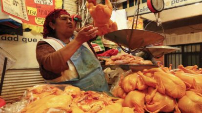 Abastecimiento de carne de pollo en el país