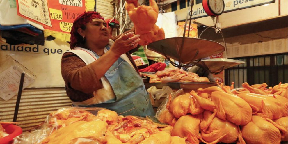 Abastecimiento de carne de pollo en el país
