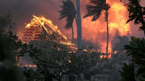 Incendio en Hawaii deja 55 fallecidos