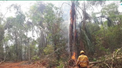 Incendios forestales en Santa Cruz