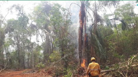 Incendios forestales en Santa Cruz
