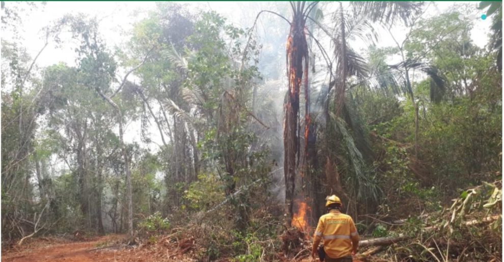 Incendios forestales en Santa Cruz