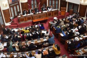 Pugna entre renovadores y radicales del MAS en la ALP