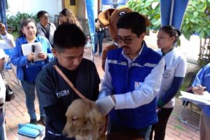 Un can recibe una vacuna contra la rabia en la campaña nacional de vacunación antirrábica