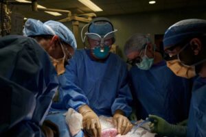 Trasplante de riñón de cerdo en paciente humano