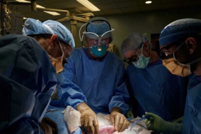 Trasplante de riñón de cerdo en paciente humano