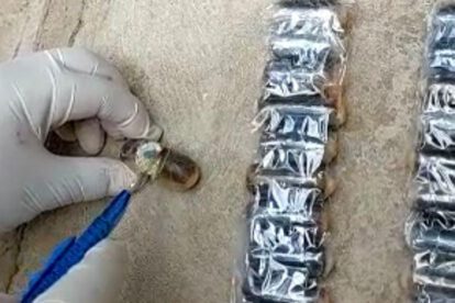 Cápsula de cocaína explota en el organismo de un joven