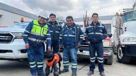 Mascotas en ENDE brindan compañía y alegría a los trabajadores
