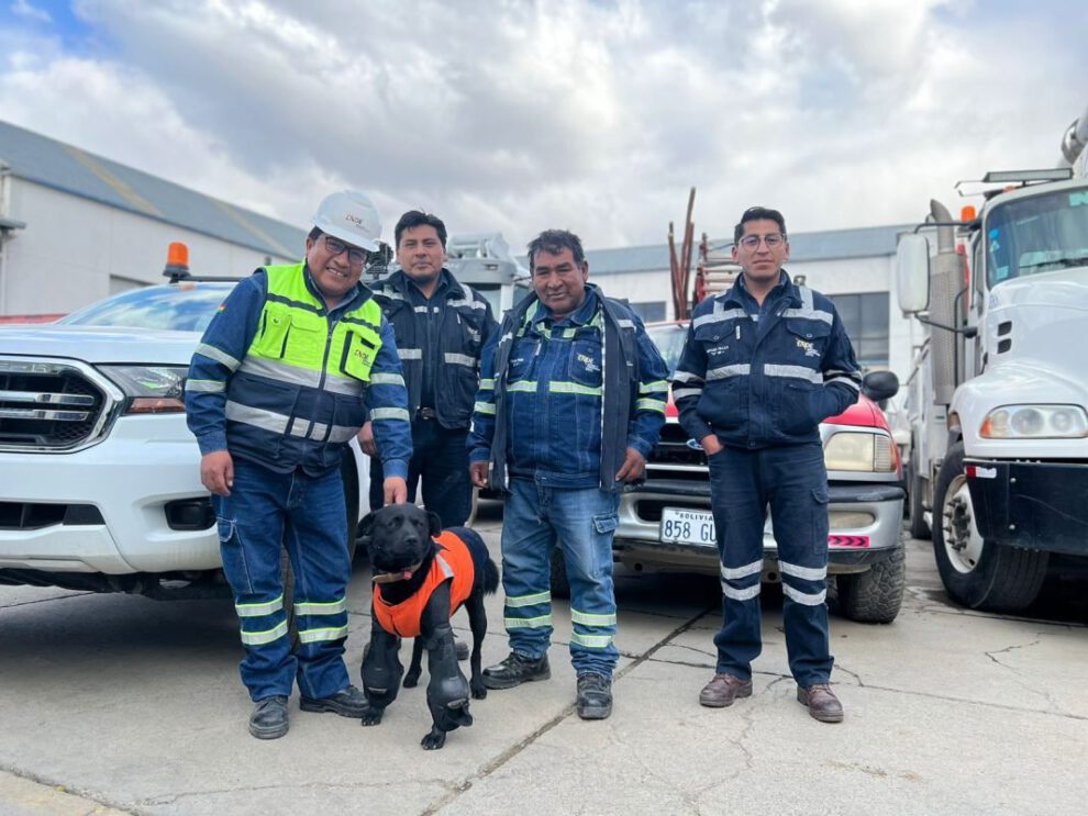 Mascotas en ENDE brindan compañía y alegría a los trabajadores