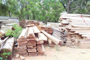 Madera confiscada en operativo conjunto en Pando