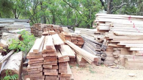 Madera confiscada en operativo conjunto en Pando