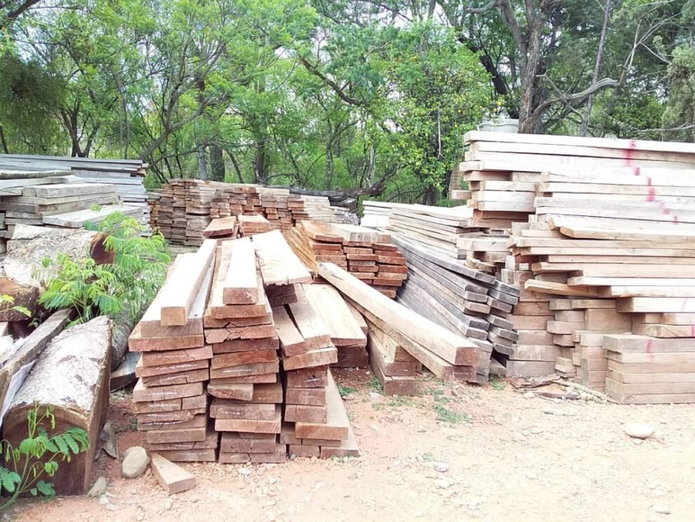 Madera confiscada en operativo conjunto en Pando