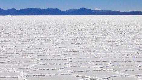 Industrialización de los Salares de Uyuni y Coipasa como motores económicos para el país