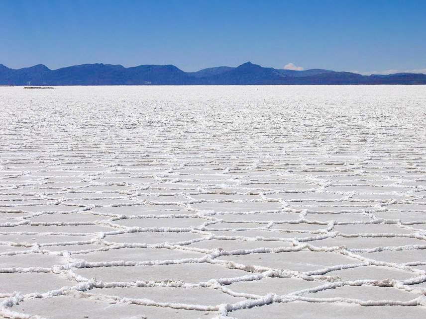 Industrialización de los Salares de Uyuni y Coipasa como motores económicos para el país