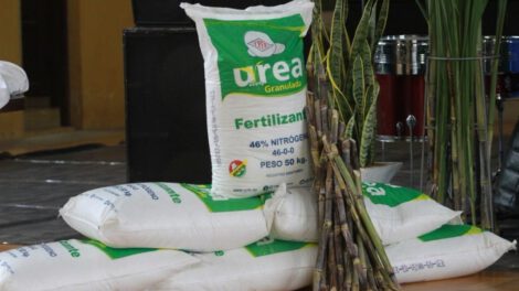Venta de urea por YPFB