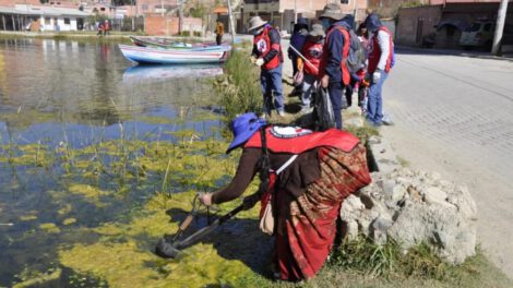 Restaurar laguna de Achocalla