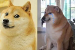 Cheems, un ícono de los memes