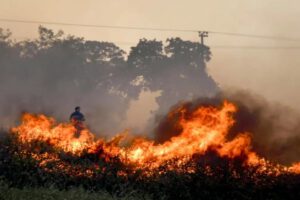 Ganadero fallece durante incendio intentando rescatar animales