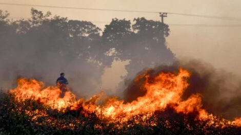 Ganadero fallece durante incendio intentando rescatar animales