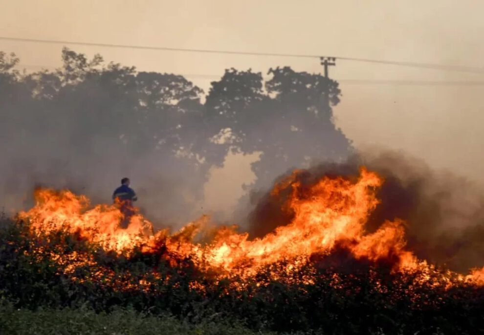 Ganadero fallece durante incendio intentando rescatar animales