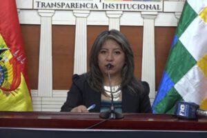 Registro de deudores por asistencia familiar presentado por Nadia Cruz