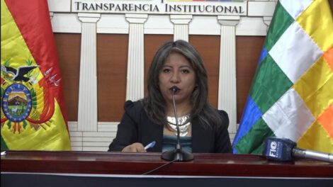 Registro de deudores por asistencia familiar presentado por Nadia Cruz