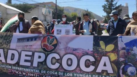 Adepcoca recibe apoyo del Gobierno y registro de marca