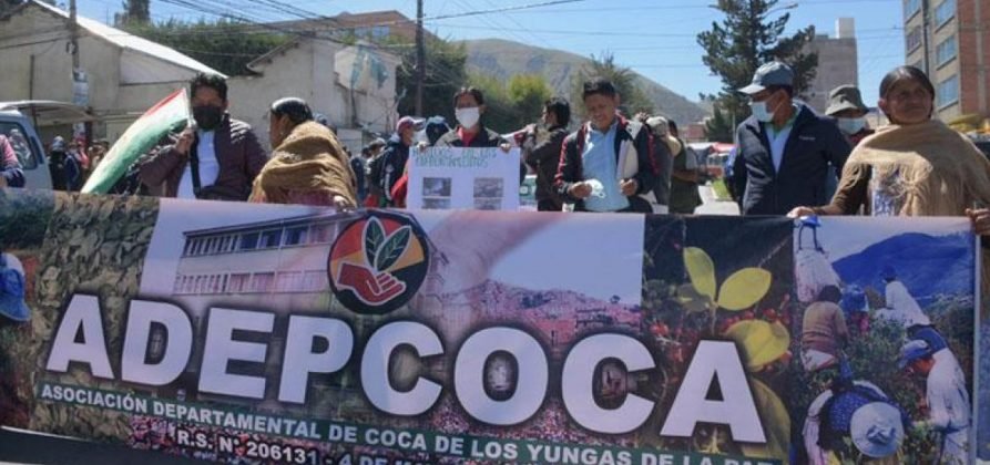 Adepcoca recibe apoyo del Gobierno y registro de marca