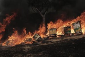 Cuerpos carbonizados de migrantes encontrados en el bosque de Dadia