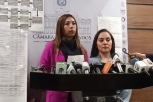 Plagio de proyecto de ley sobre asistencia familiar