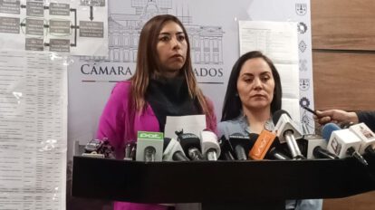 Plagio de proyecto de ley sobre asistencia familiar