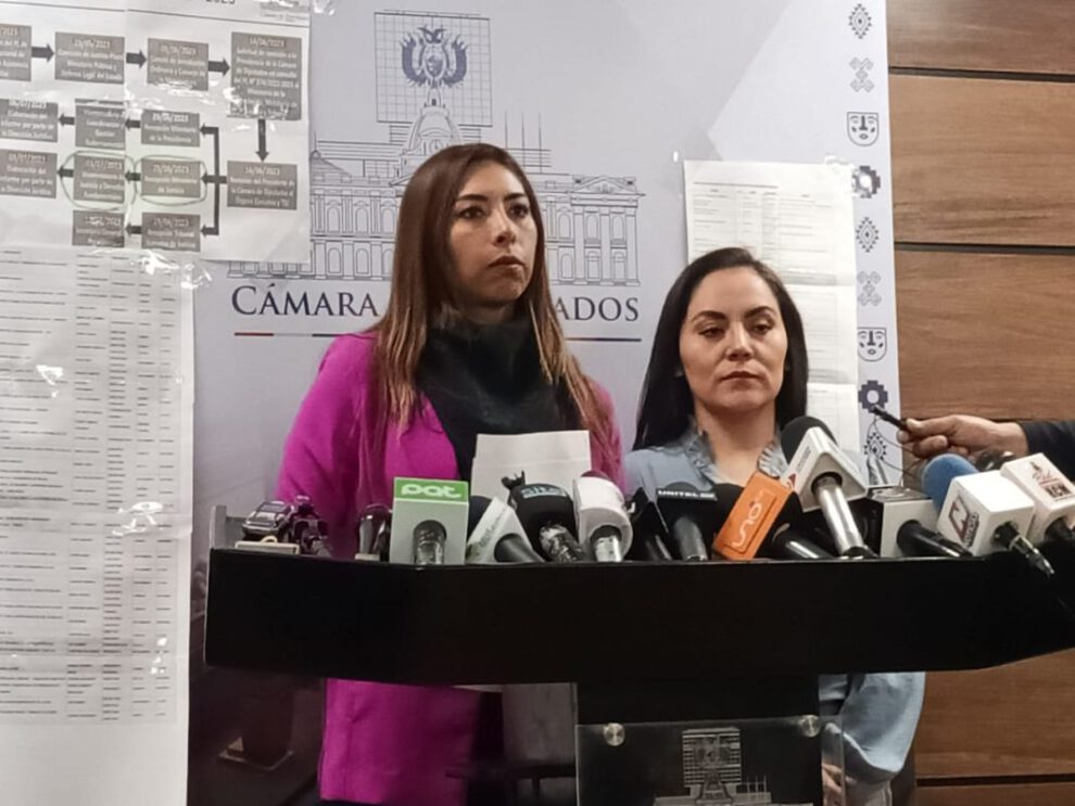 Plagio de proyecto de ley sobre asistencia familiar