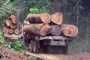 Deforestación relacionada con la producción de soja en Bolivia