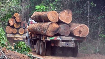 Deforestación relacionada con la producción de soja en Bolivia