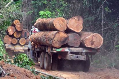 Deforestación relacionada con la producción de soja en Bolivia