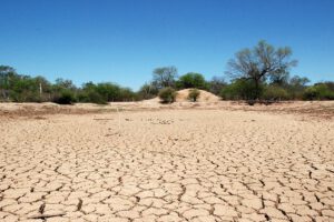 Crisis climática en Tarija