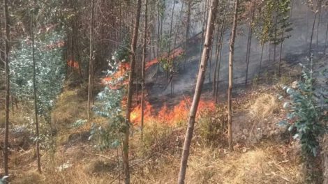 Incendio forestal en Quime
